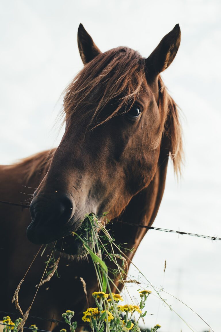 annie spratt MLhAqbSgVKA unsplash