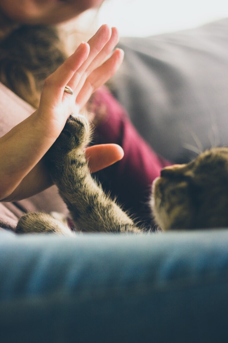 jonas vincent xulIYVIbYIc unsplash