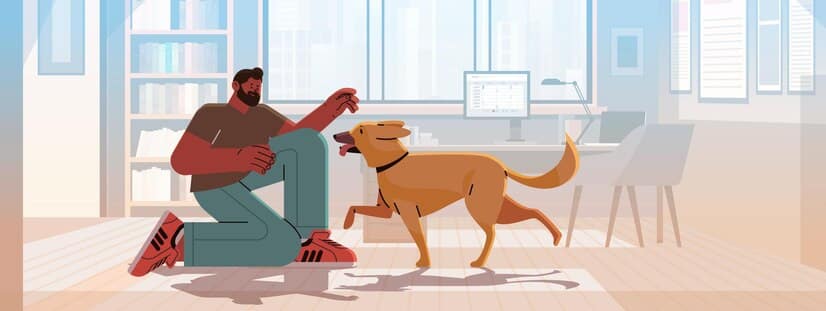 man pet owner playing with cute dog best friends domestic animal caring fourfooted friend concept modern living room interior horizontal vector illustration 48369 47137