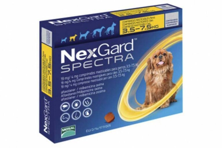 NexGard SPECTRA for Dogs: 7 Benefits, Effectiveness & Safety Review 2 tabletki boehringer ingelheim nexgard spectra protiv parazitov dlya sobak s 3 5 7 5 kg 1 tabletka 888827