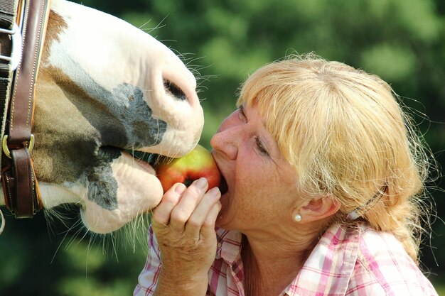 close up woman horse eating one apple 1048944 24769492