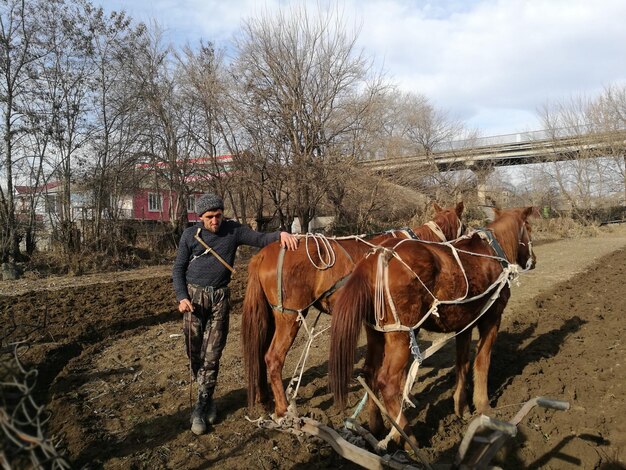 full length young man with horses standing field against cloudy sky 1048944 10196198