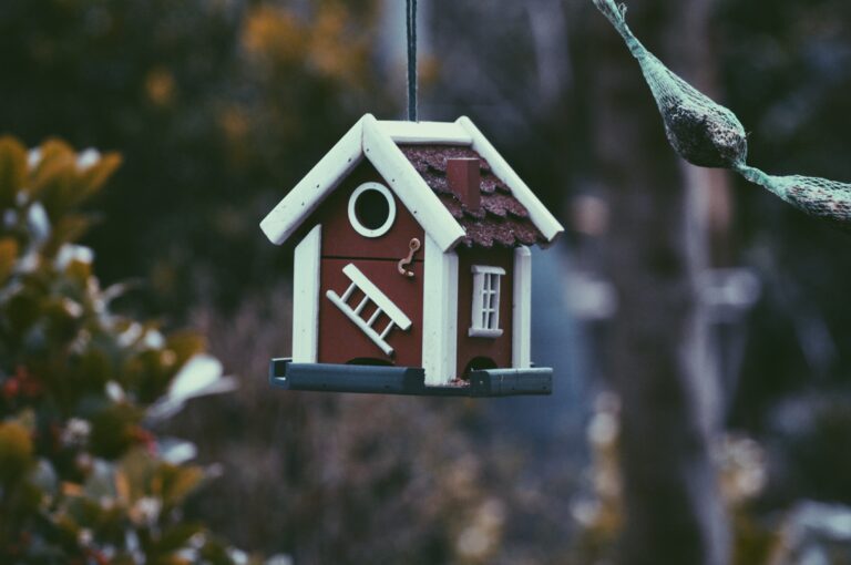 harmen jelle van mourik 0yfWDwHOB0g unsplash